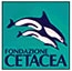 Fondazione Cetacea Riccione