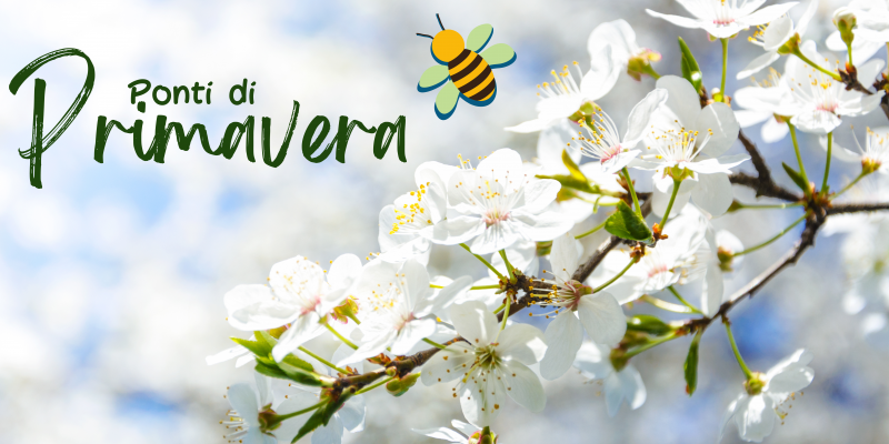 Ponti di Primavera a Rimini